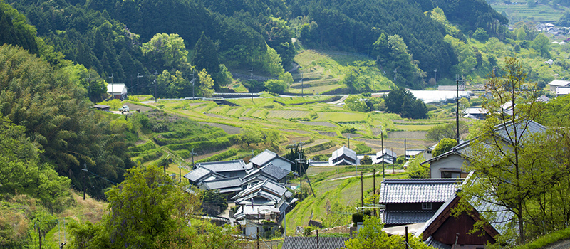 橿原・明日香村に特化した“深さ”のあるご提案